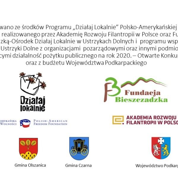 Działaj Lokalnie 2020